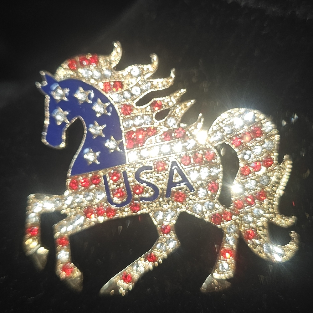 Qty 2 NWT Patriotic USA Flag Rhinestone Horse Brooches – Gold & Silver Tone - Picture 9 of 9